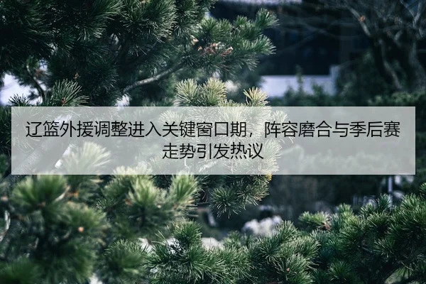 liao-lan-wai-yuan-tiao-zheng-jin-ru-guan-jian-chuang-kou-qi-zhen-rong-mo-he-yu-ji-hou-sai-zou-shi-yin-fa-re-yi-2-637.jpg